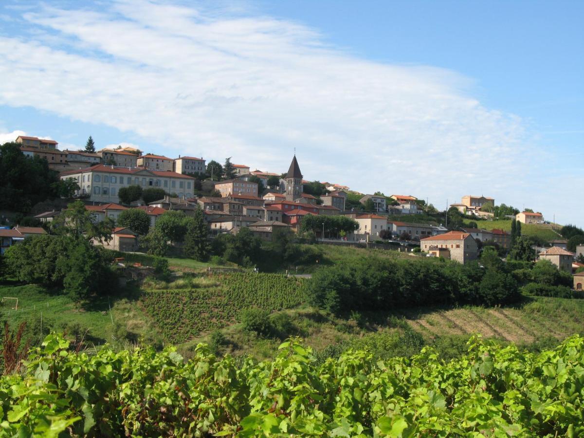 Domaine Des Gardette Ξενοδοχείο Vaux-en-Beaujolais Εξωτερικό φωτογραφία