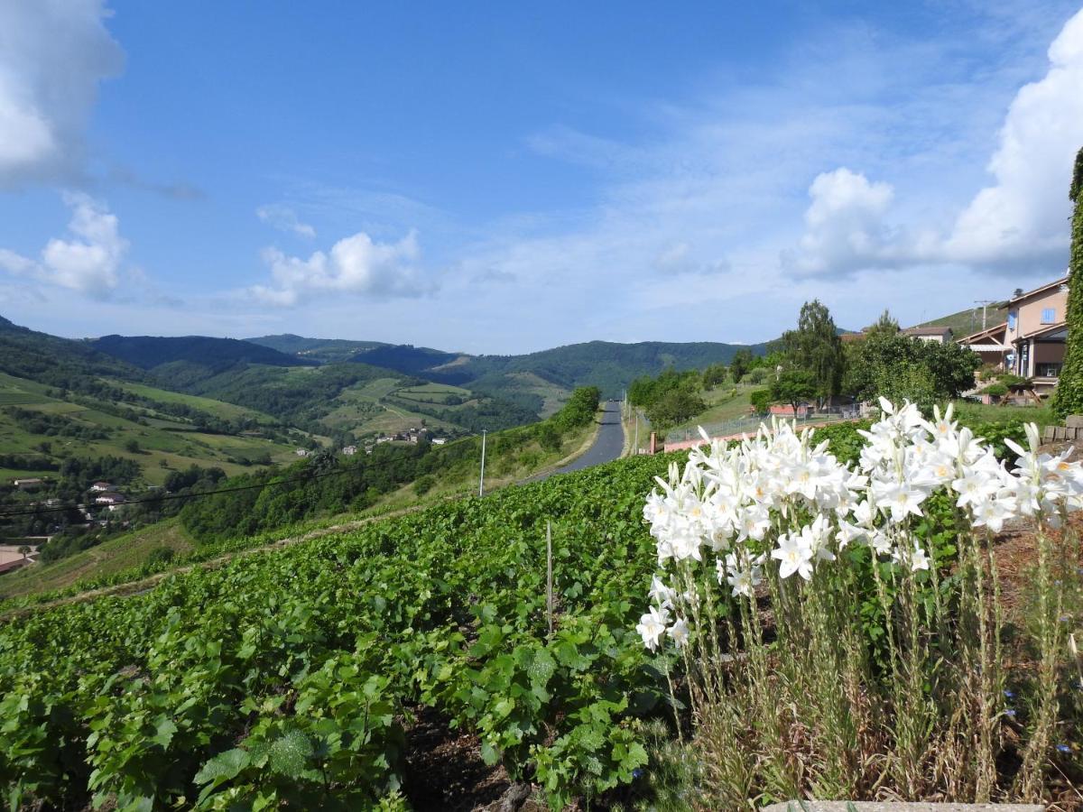 Domaine Des Gardette Ξενοδοχείο Vaux-en-Beaujolais Εξωτερικό φωτογραφία